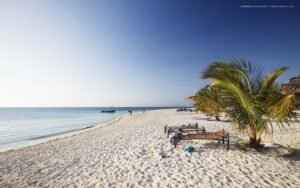 3 Days Luxury Safari from Zanzibar Island, Zanzibar to Serengeti Safari,, 5-Day Zanzibar Luxury Beach Holiday