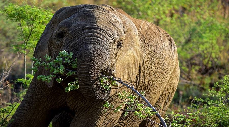6 Days Tanzania Budget Camping Safari from Arusha